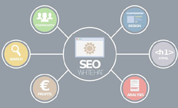 大鹏网站SEO 优化  推广