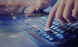 大鹏企业宣传网站建设